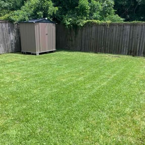 residential landscaping by Blue Mountain Landscaping Co. (RUSHPOINT MAINTENANCE GROUP) reviewed on August 16, 2025