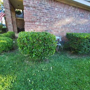 Bush Trimming by Matthews Lawn Care reviewed on August 18, 2025