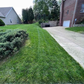 yard work by East Coast Property Innovations llc reviewed on August 15, 2025
