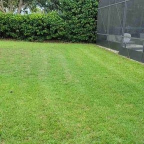 lawn maintenance by RT Lawncare & Tree Specialist reviewed on April 13, 2024