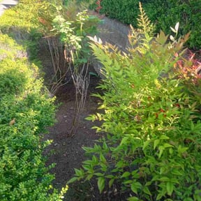 Leaf Removal by D&amp;D Lawn Care reviewed on May 24, 2026