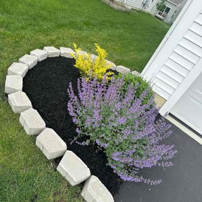 Mulching by Pablo's lawn service reviewed on August 14, 2025