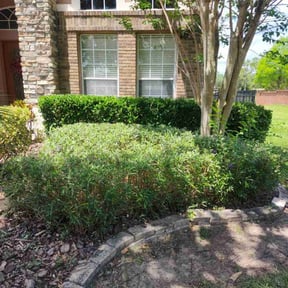 Bush Trimming by Sovereign building services reviewed on August 18, 2025