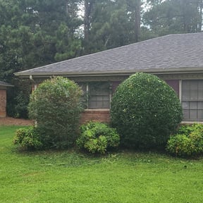 Bush Trimming by Ultimate Landscape Contractor  reviewed on December 7, 2022
