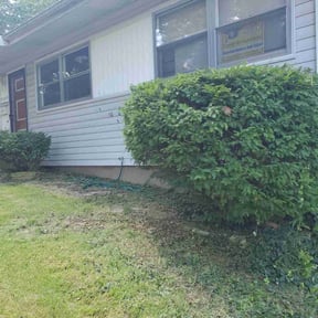 Bush Trimming by Kwaku Construction reviewed on August 16, 2025