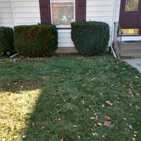 Flower Bed Weeding by Homegrown N Cut reviewed on August 13, 2025