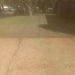 Leaf Removal by Rocco’s Lawn Services, LLC reviewed on May 21, 2026