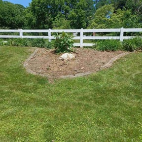 Leaf Removal by The lawn Guy reviewed on September 12, 2025