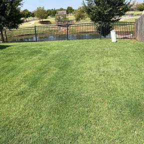 yard maintenance by Thompson lawn care reviewed on August 19, 2025