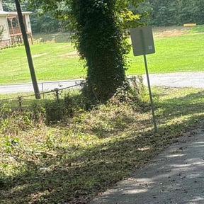 Flower Bed Weeding by Affordable Lawncare reviewed on November 22, 2025