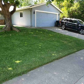 landscape maintenance by Better Business Professionals reviewed on August 17, 2025
