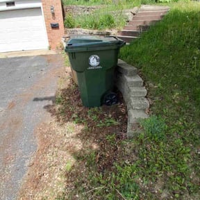 Leaf Removal by All season landscaping reviewed on September 19, 2025