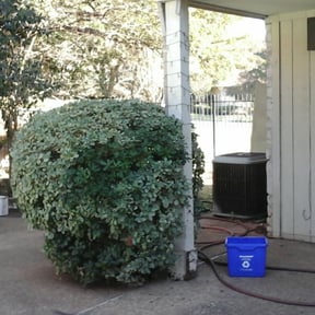 Bush Trimming by AR Lawn Care. reviewed on August 17, 2025
