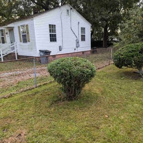 Bush Trimming by Da Boyz Yard Service reviewed on August 20, 2025