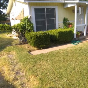 Bush Trimming by Clark and son lawn care reviewed on August 21, 2025