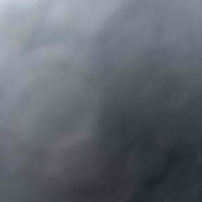 Leaf Removal by Structure lawn care reviewed on September 26, 2025