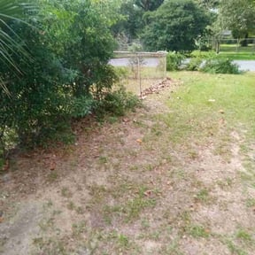 Bush Trimming by Uppercuts Lawn Care reviewed on August 18, 2025