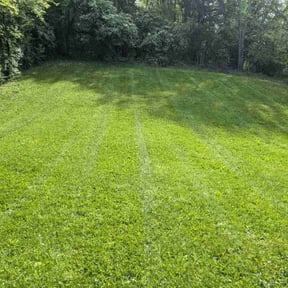 gardening service by GC Lawn Care & Landscaping Services reviewed on August 15, 2025