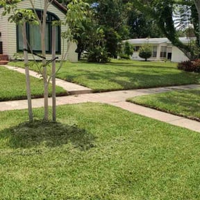 gardening service by Teals Turf Renovations reviewed on August 17, 2025