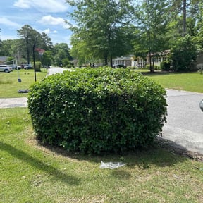 Bush Trimming by Top&#039;s Mowing Service reviewed on August 15, 2025