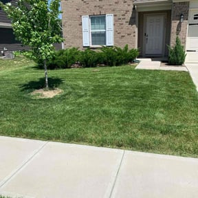 grass maintenance by Clean cuts lawn care reviewed on August 19, 2024