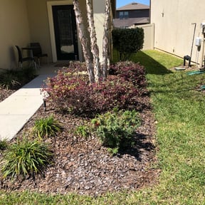 Bush Trimming by Yard Goat Lawns llc reviewed on August 16, 2025