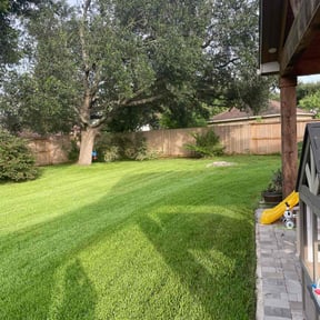 landscaping by The Perfect Lawn reviewed on August 18, 2025
