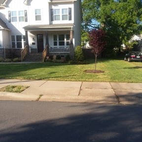 Flower Bed Weeding by Double F Lawns reviewed on August 20, 2025