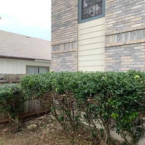 Bush Trimming by OC Lawn Care Services reviewed on August 15, 2025