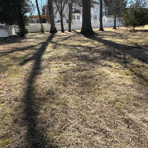 Leaf Removal by Epic Lawn Care reviewed on September 7, 2025