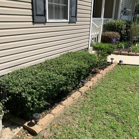 Bush Trimming by Gia Mobile Detailing reviewed on August 20, 2025