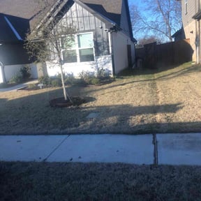 Leaf Removal by Handy Honey Do LLC reviewed on September 19, 2025