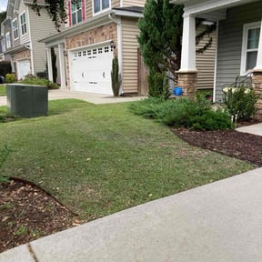 yard maintenance by Lawn Love Landscaping reviewed on August 15, 2025