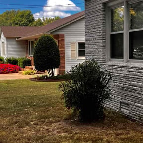 Cleanups by CT Mowing reviewed on August 16, 2025