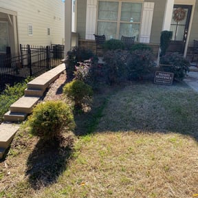 Bush Trimming by NMH Renovations&landscaping LLC reviewed on August 16, 2025