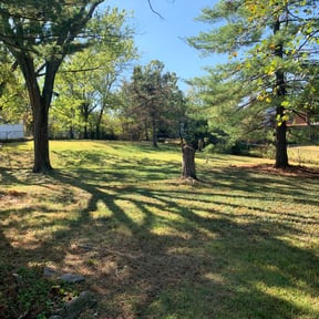 Leaf Removal by Mr. Jims&#039; Lawn Care L.L.C reviewed on September 13, 2025