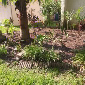 Bush Trimming by Diamante Landscape Maintenance reviewed on August 18, 2025