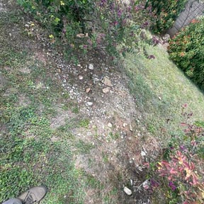 Flower Bed Weeding by Frank's lawncare reviewed on August 16, 2026