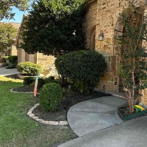 Bush Trimming by Lawn starter lawn love pro reviewed on August 19, 2025