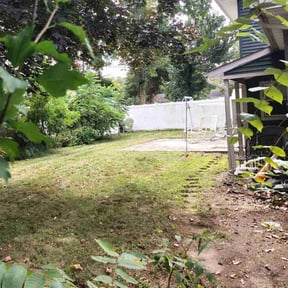 Leaf Removal by Lawncare man reviewed on September 6, 2025