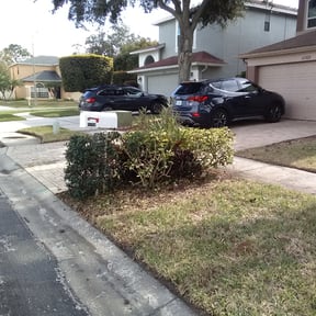 Bush Trimming by All Trim Lawn Services, Inc. reviewed on August 17, 2025