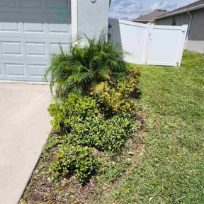 Bush Trimming by The lawn Service,LLC reviewed on November 25, 2025