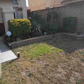 Bush Trimming by Leon st 8146 reviewed on April 1, 2026