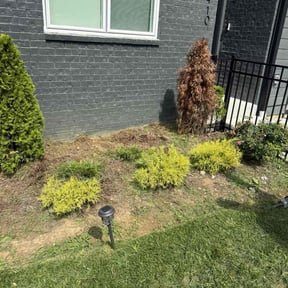 Flower Bed Weeding by Clean Cut Lawn Service reviewed on October 24, 2025