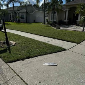lawn maintenance by All Trim Lawn Services, Inc. reviewed on December 29, 2023