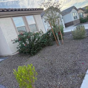 Bush Trimming by Local Green Lawn Care LLC reviewed on December 30, 2025