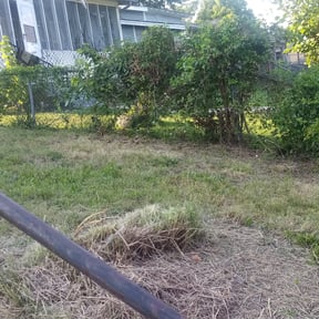 Bush Trimming by Turbo Lawn Care reviewed on August 21, 2025