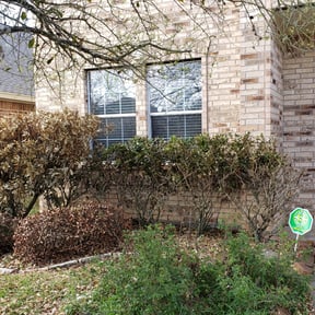 Bush Trimming by Carolina Lawn Care reviewed on August 20, 2025