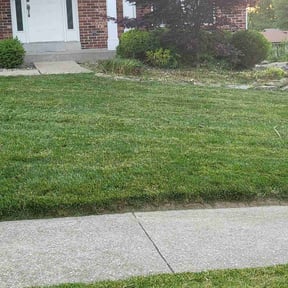 Bush Trimming by Perspective Solutions LLC reviewed on August 15, 2025