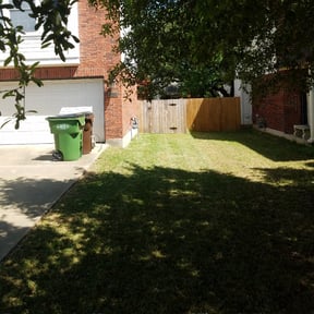 Leaf Removal by Best Green Area reviewed on August 21, 2025